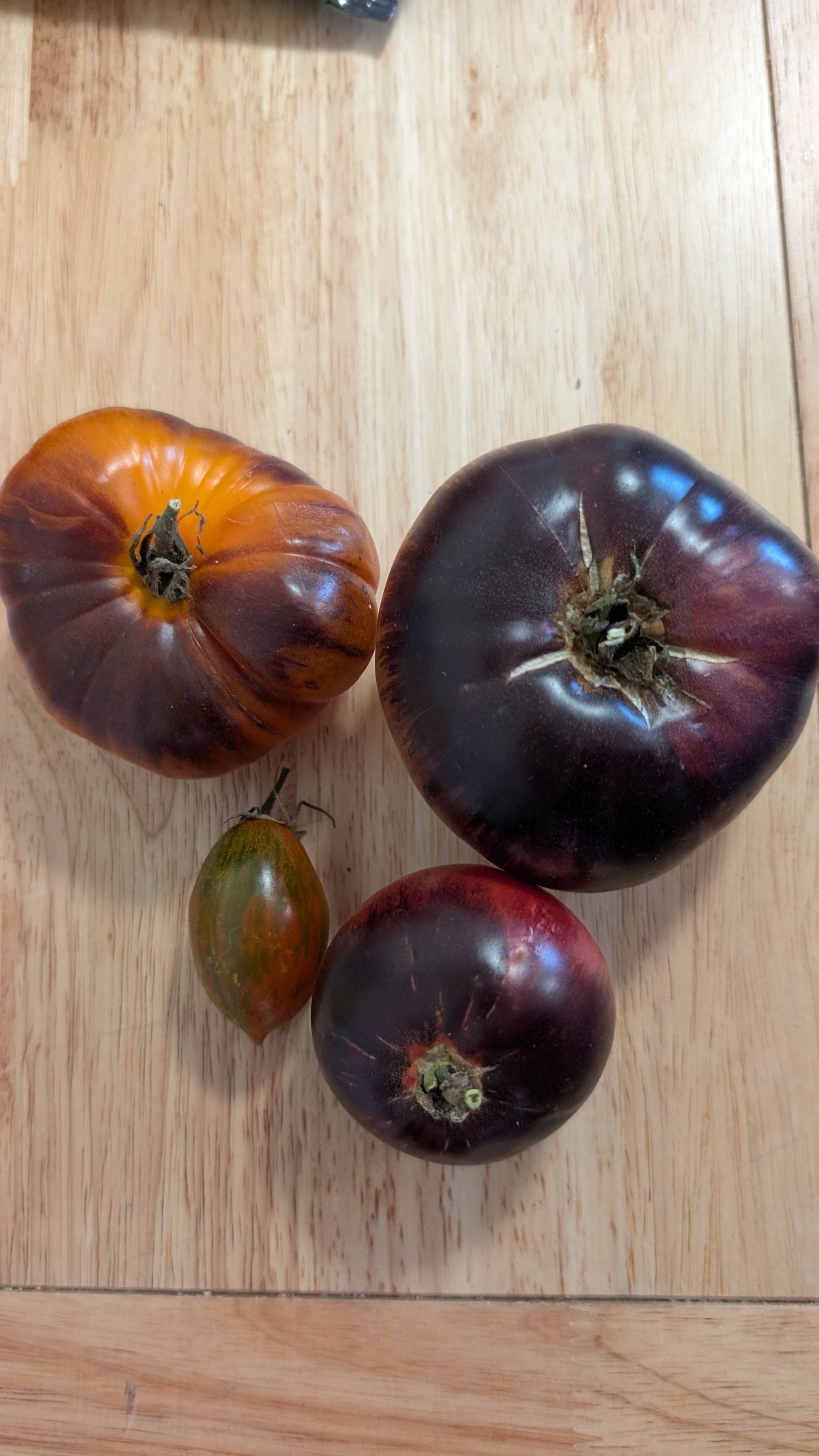 Organic Tomatoes - Demeter Earth