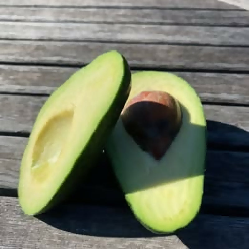 473210798_976819261292320_4777680121897664492_n