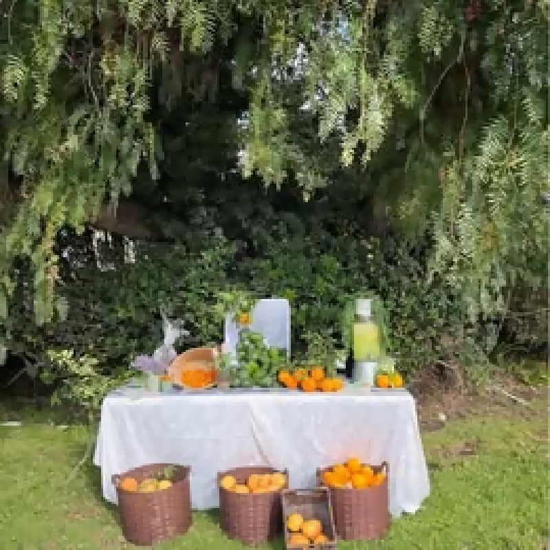 476558810_920614653390427_2904380784013829236_n