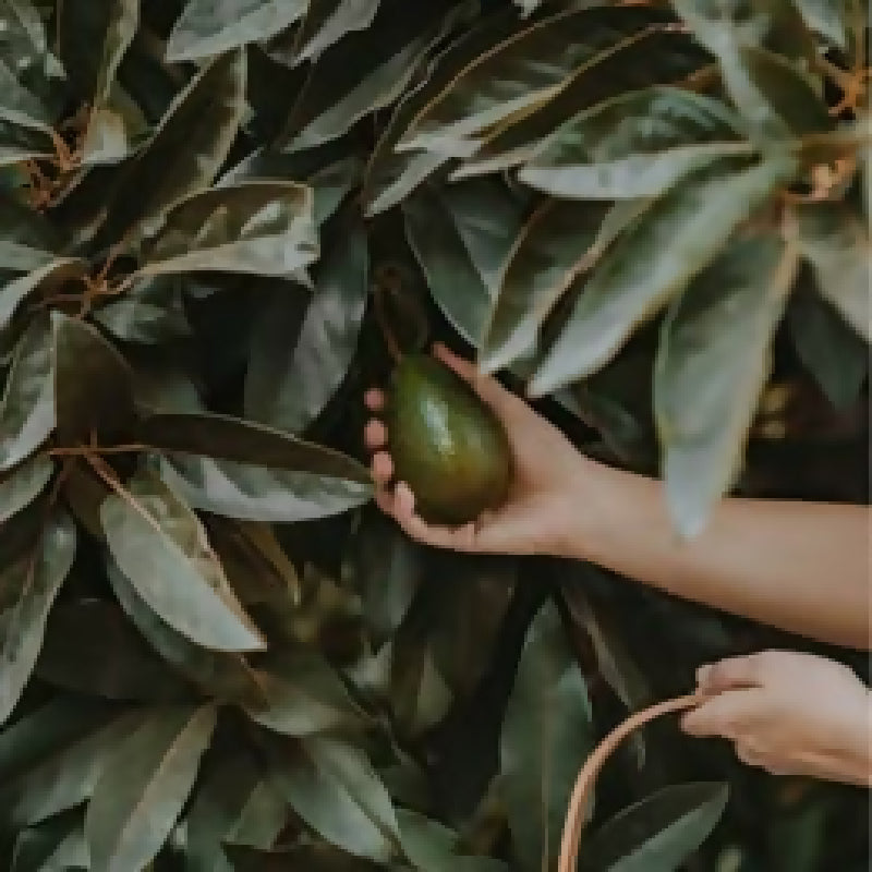 476550488_635220868891461_404870607066281771_n