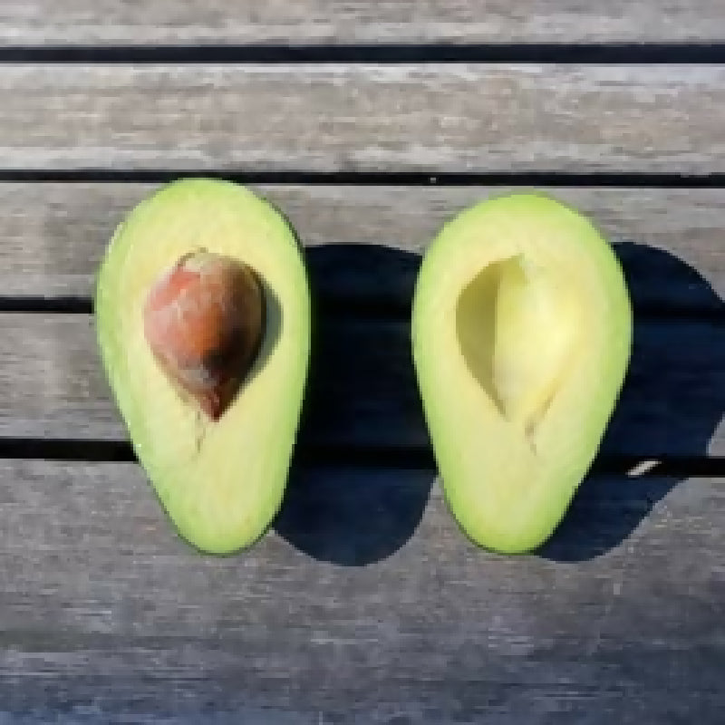 475234376_2001573433678037_8341163643264899384_n