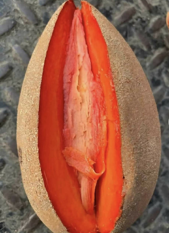 be07f7e1ab98d25c40001fdd6848ba8e