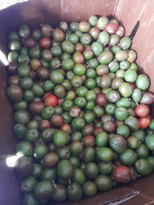 b9e2f2b04802cf76b9204dd44b5b6270