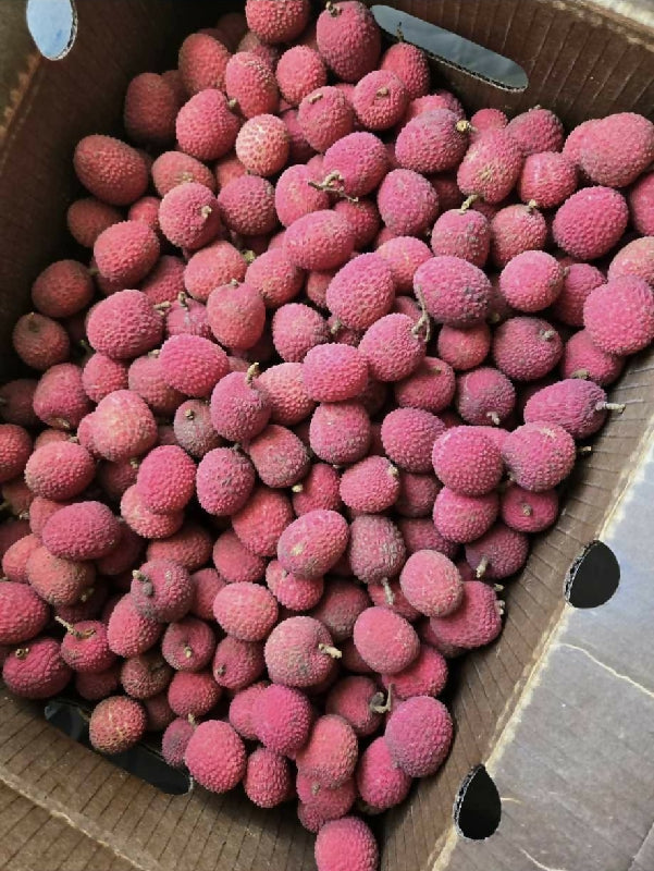 d85d4c2fb933ab2548361c594e62da59