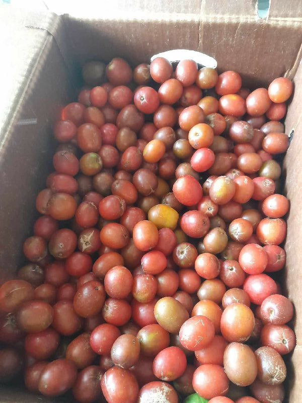 8614a75aa2557314007c614abf19236f