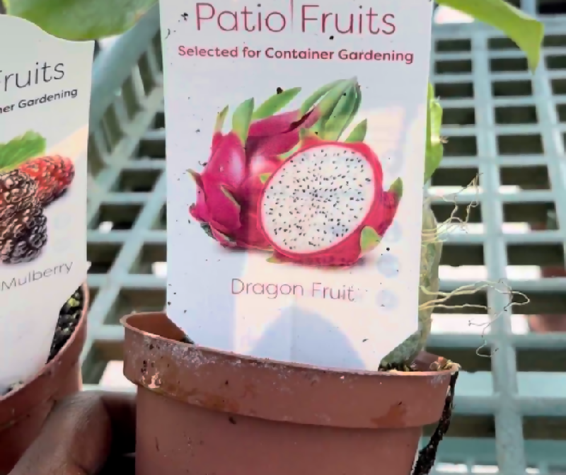 Beige Minimalist Guides To Living Simply Carousel Facebook Post