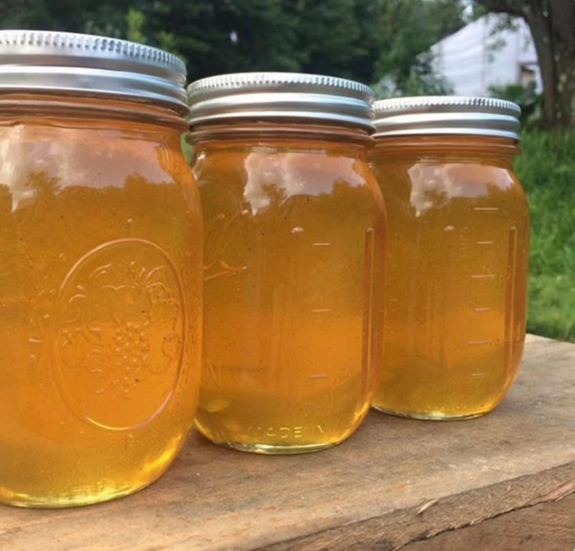 Raw honey - Demeter Earth