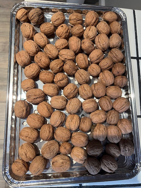 Chandler Walnuts - Demeter Earth