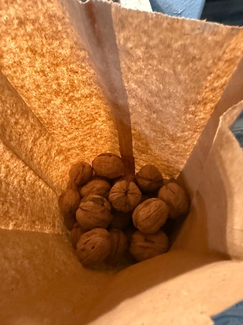 Chandler Walnuts - Demeter Earth