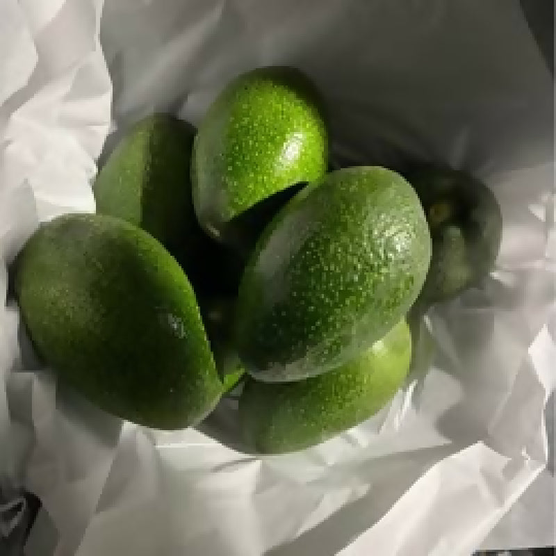 476524469_970402374538717_4116666173381233195_n