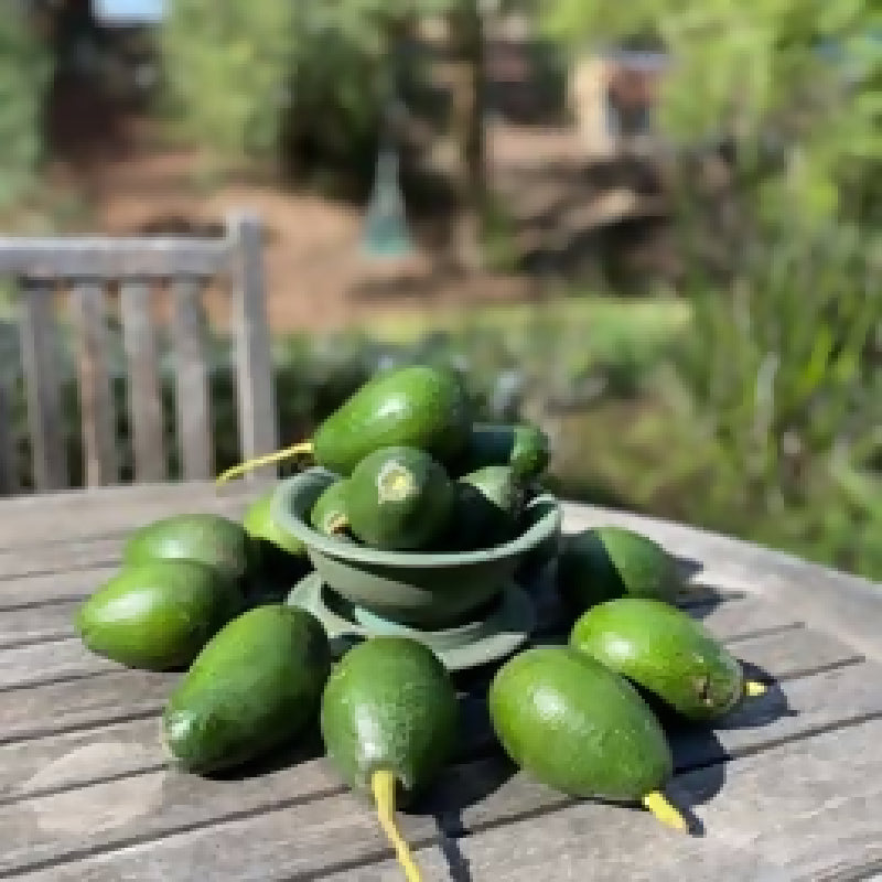 474629584_1122898046200959_7750446835344212481_n