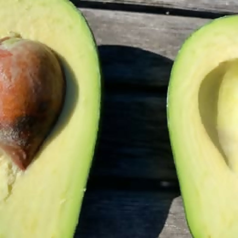 473217616_2008298389639062_6947294138457987875_n