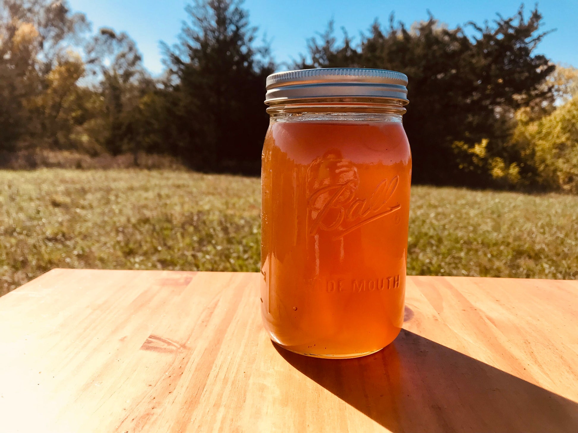 12oz Bottle of Raw Honey - Demeter Earth