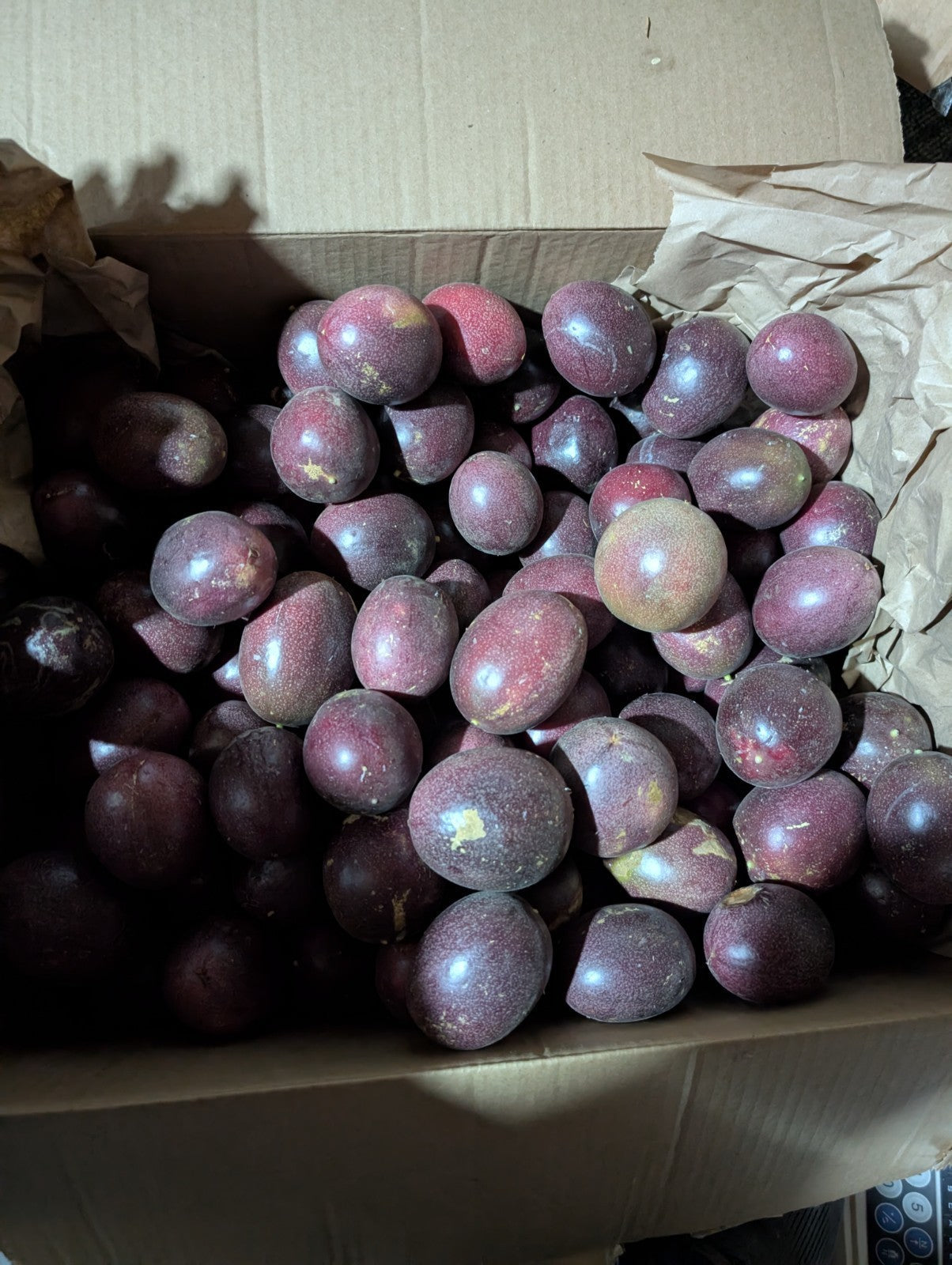 Passion Fruit Fresh Purple Fredricks 3# - Demeter Earth