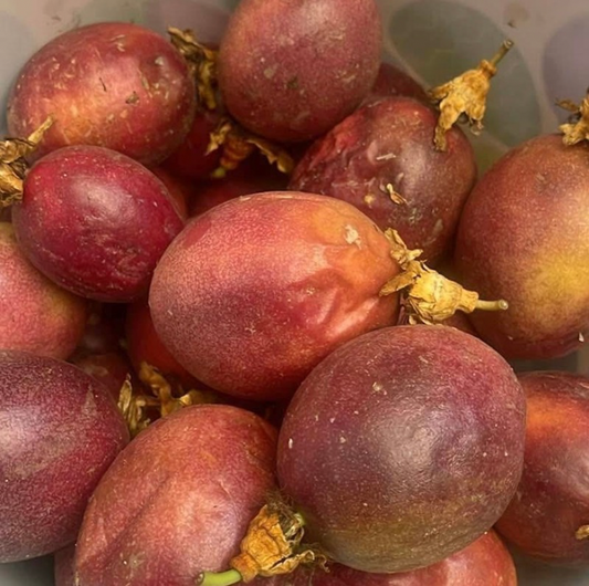 Passion Fruit - Demeter Earth