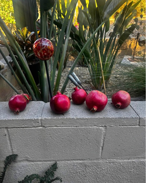 Granadas en venta a $1 cada una