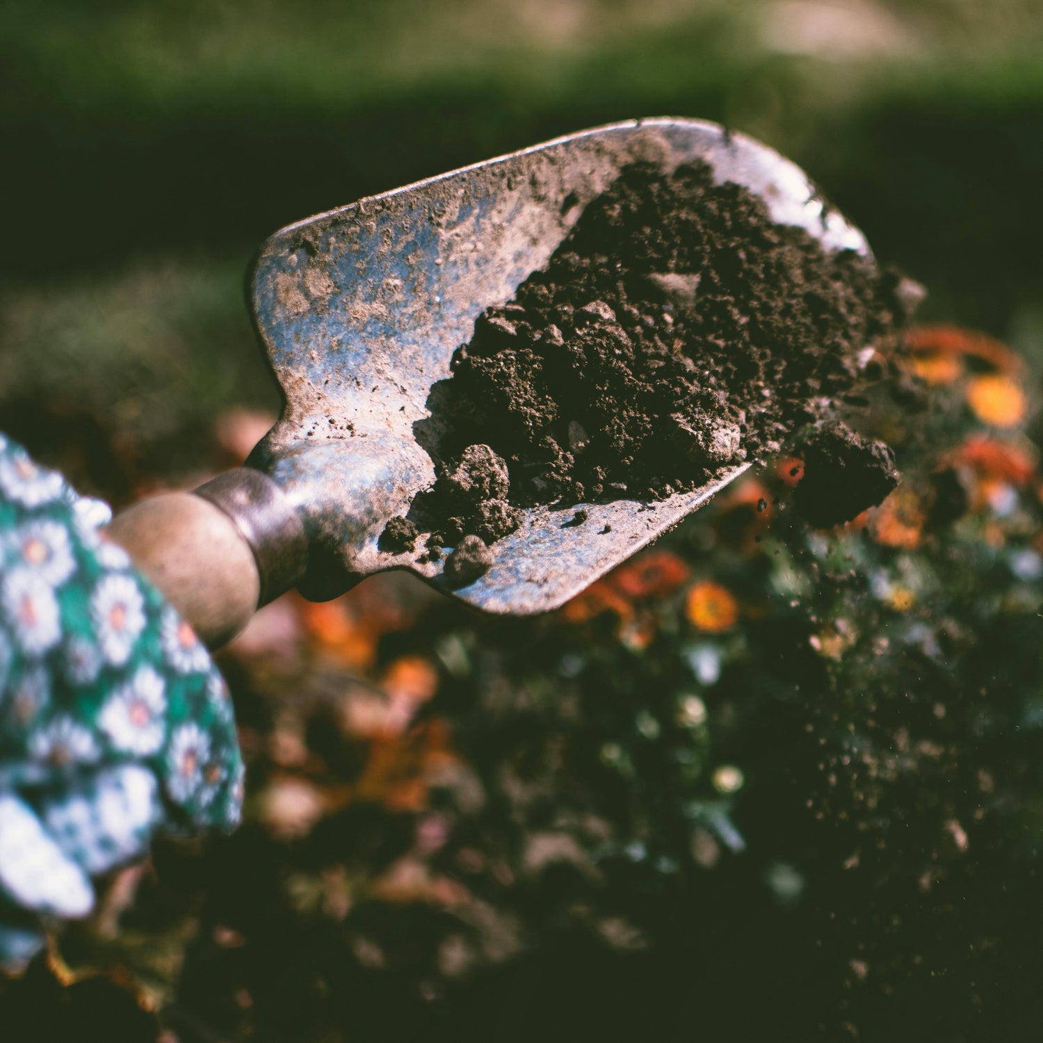 Organic Fertilizers
