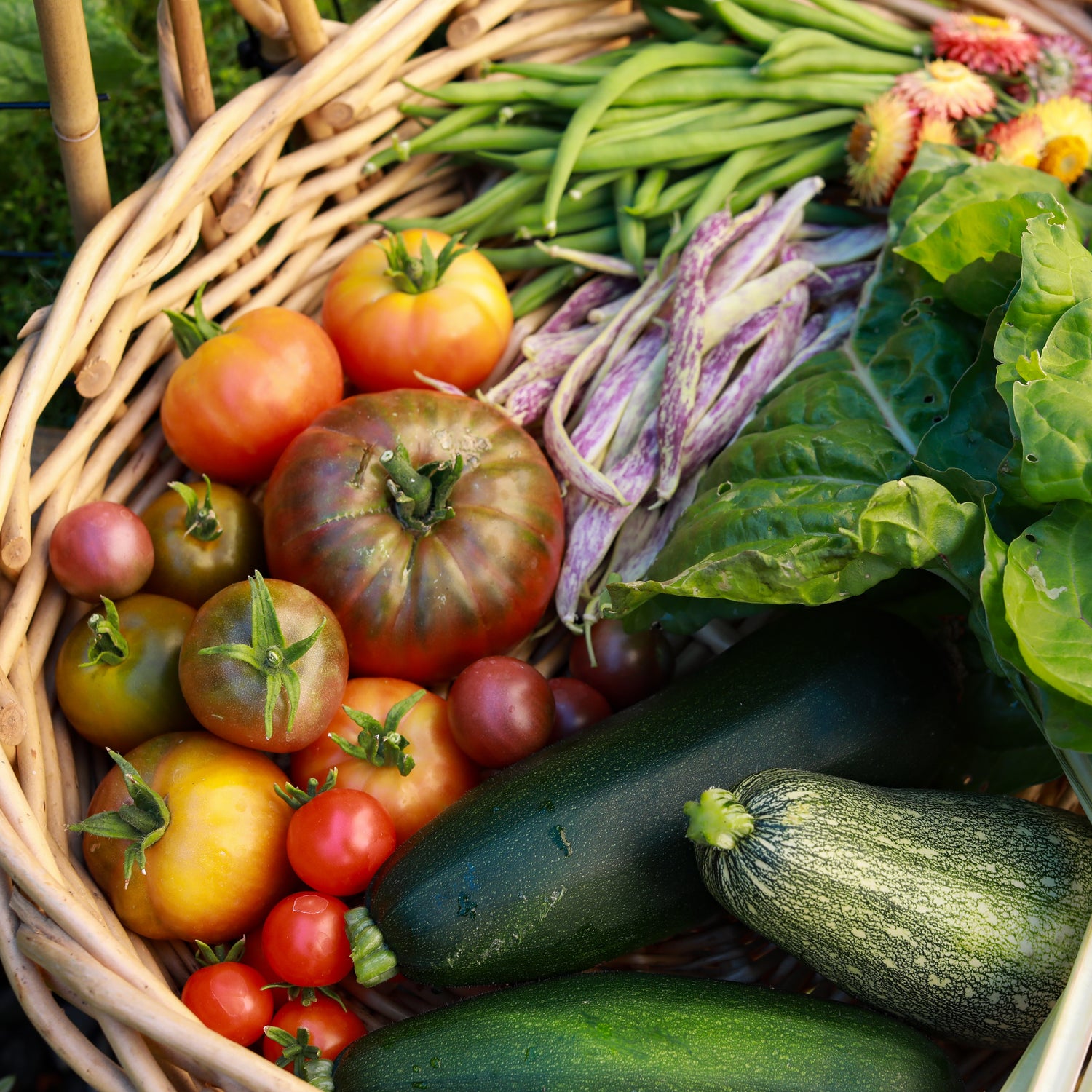 Fresh Produce