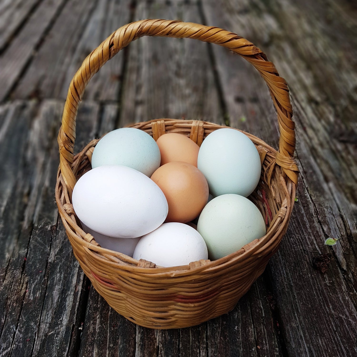 Eggs
