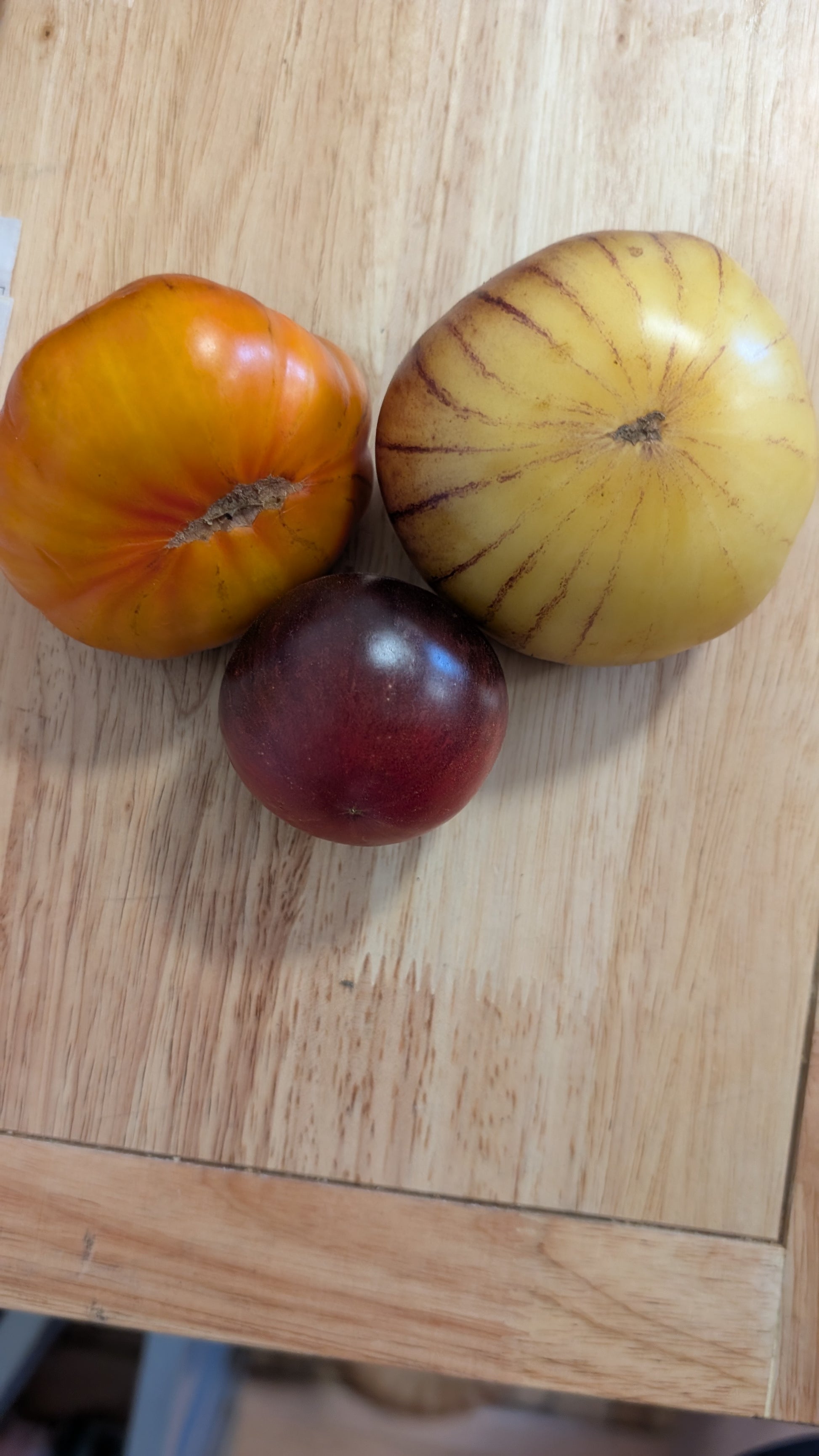 Organic Tomatoes - Demeter Earth