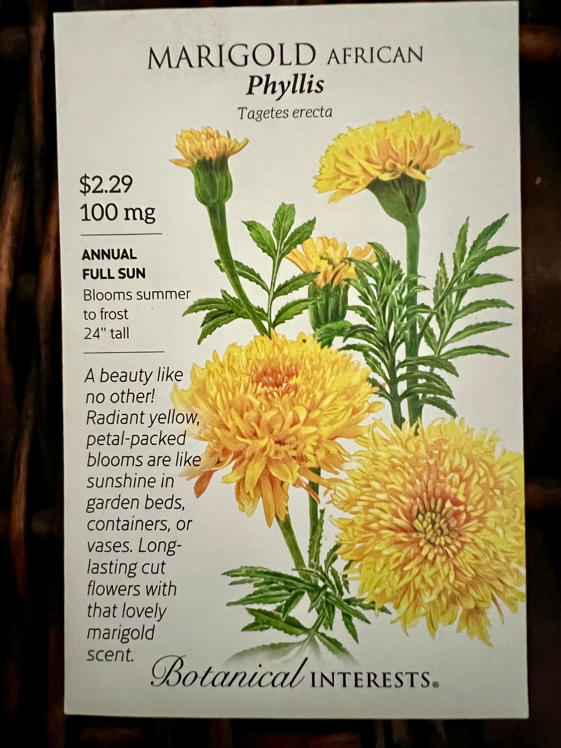Companion Plant Summer Seed Bundle - Demeter Earth