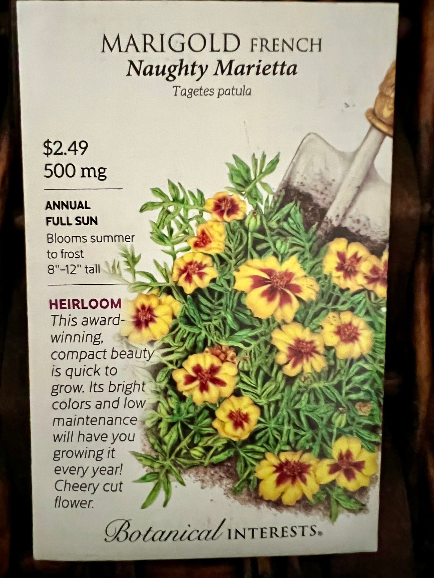 Companion Plant Summer Seed Bundle - Demeter Earth