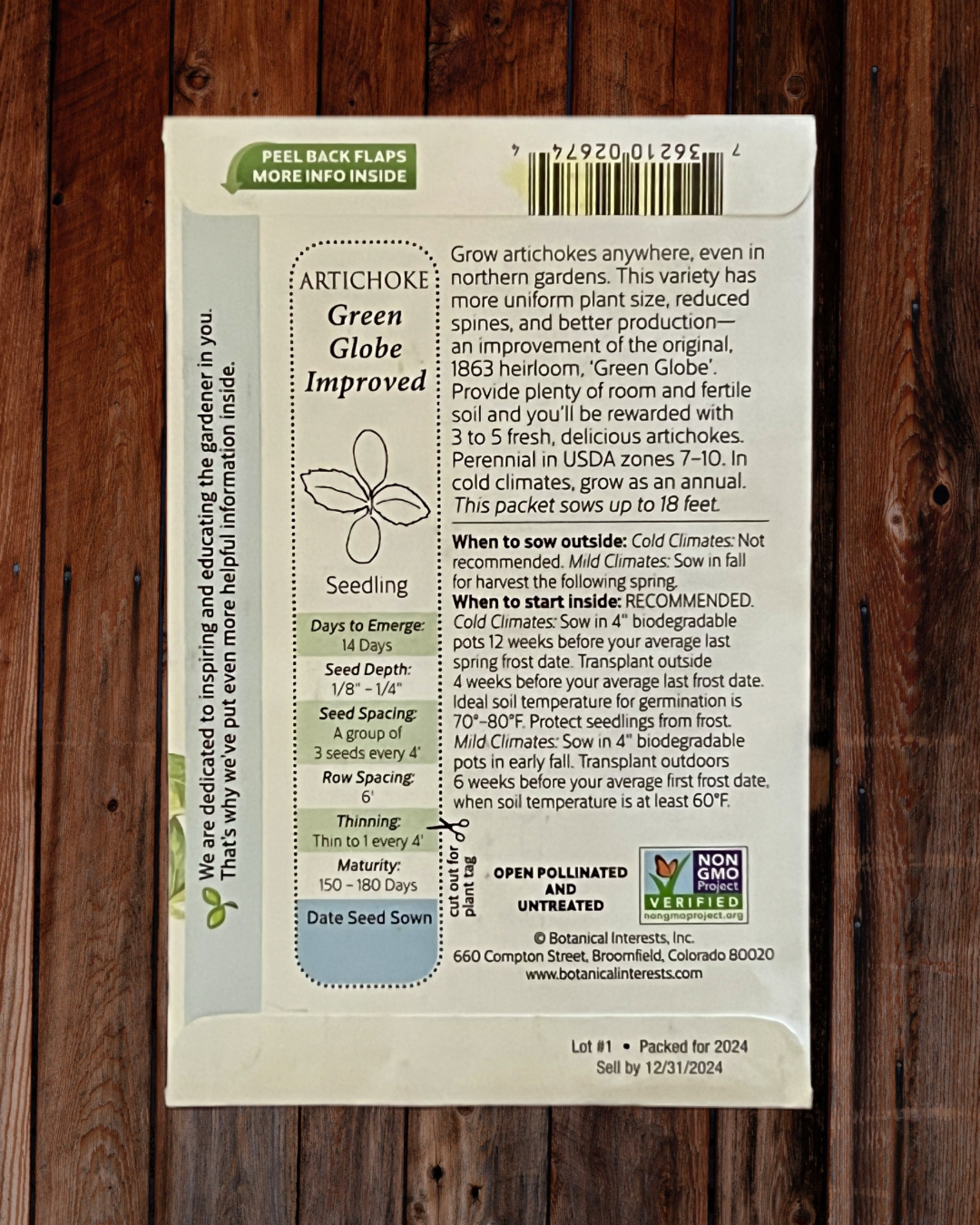 Artichoke Green Globe Seeds - Demeter Earth