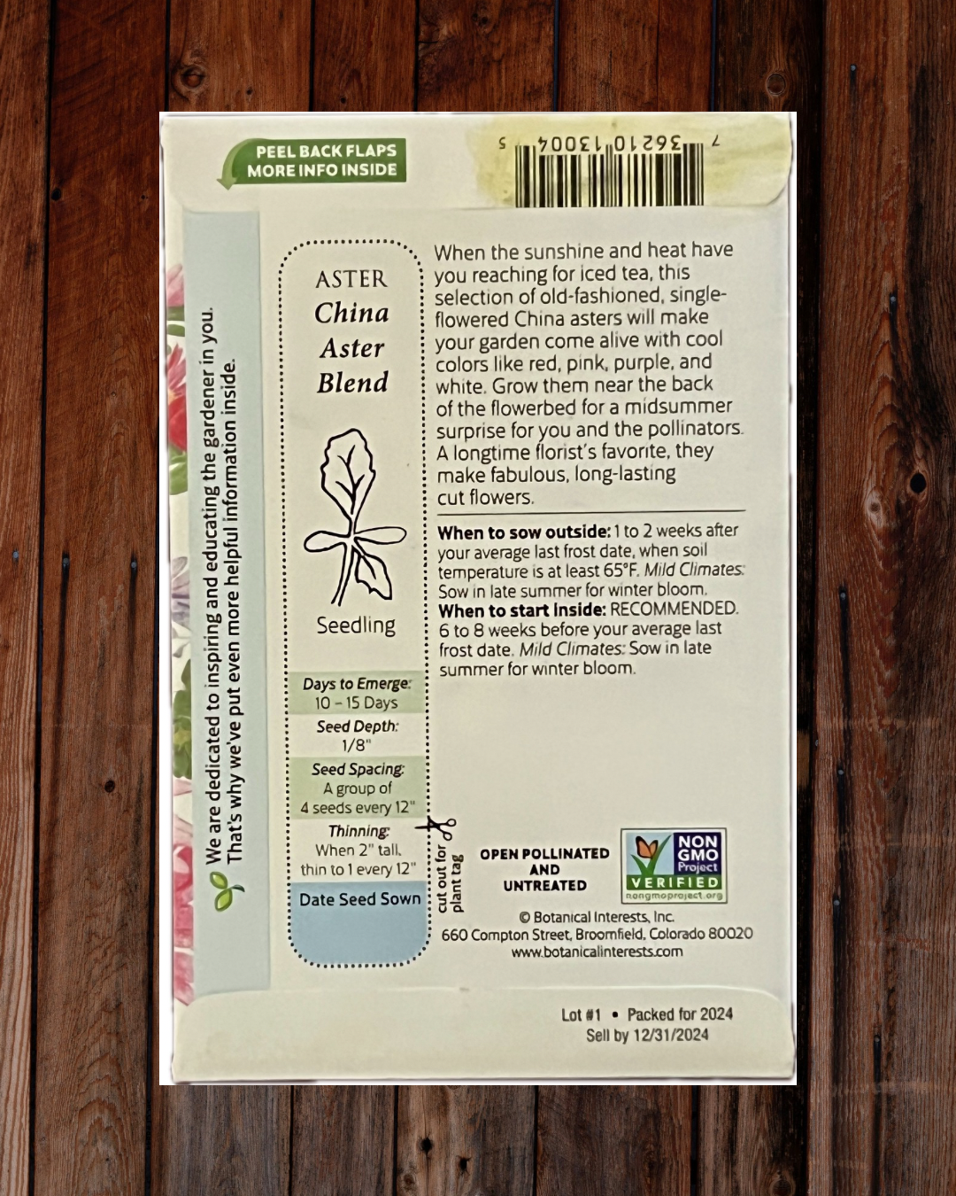 Aster Seeds - Demeter Earth