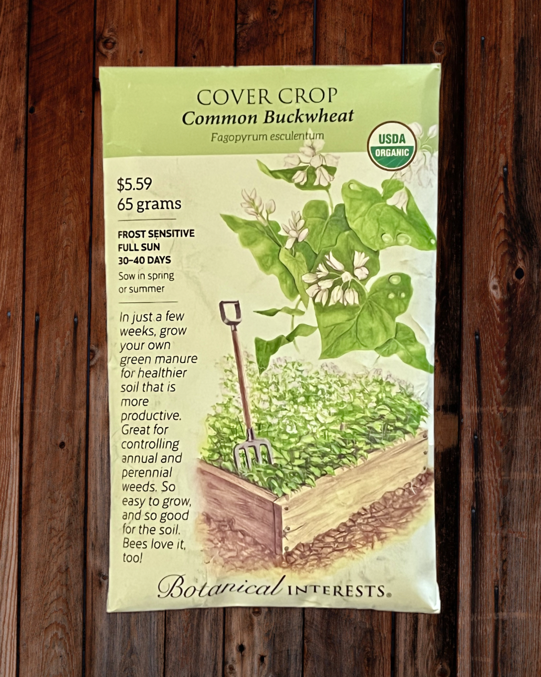 Common Buckwheat Seeds - Demeter Earth