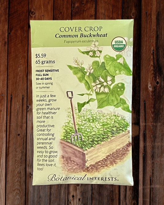 Common Buckwheat Seeds - Demeter Earth