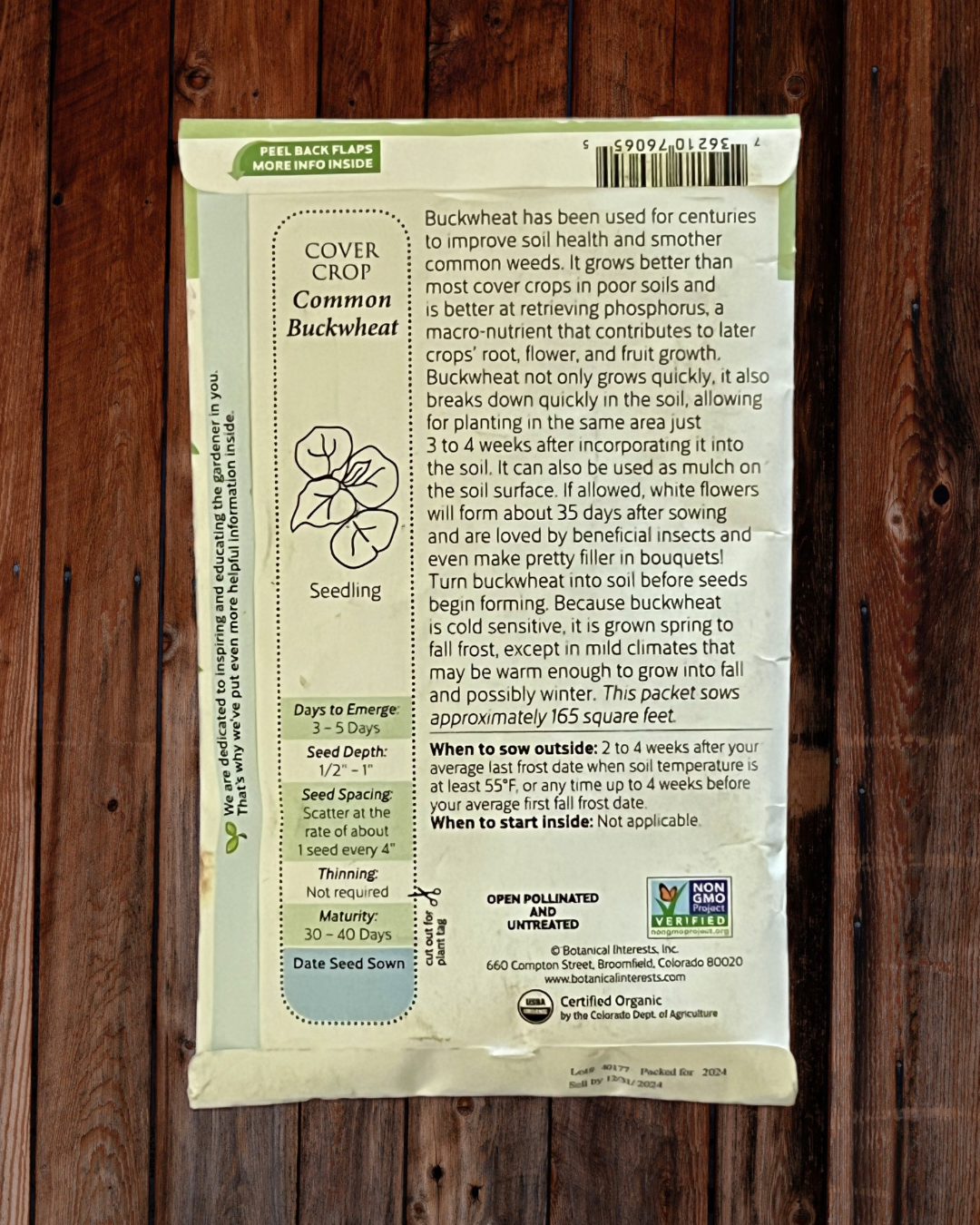 Common Buckwheat Seeds - Demeter Earth