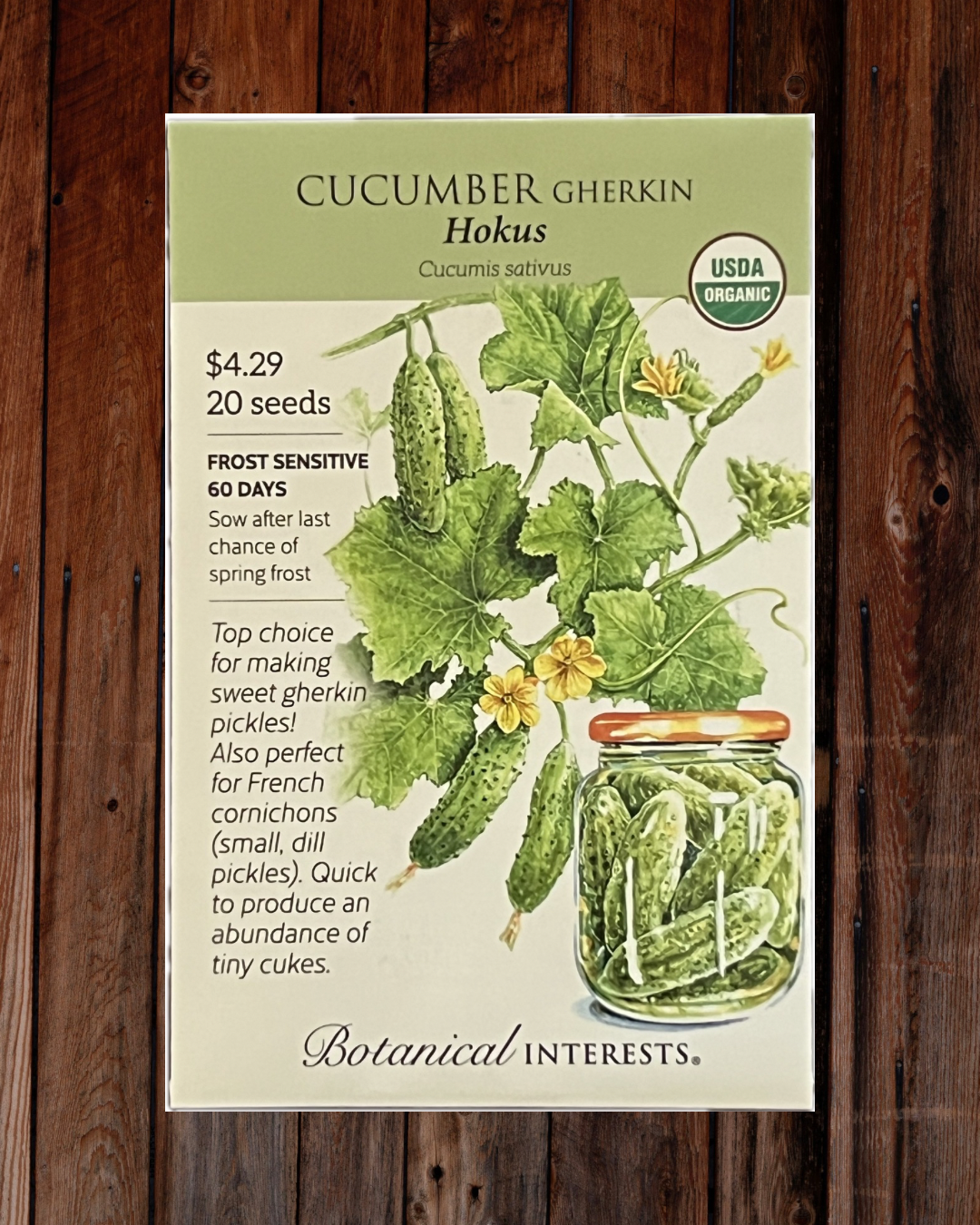 Cucumber Gherkin Seeds - Demeter Earth