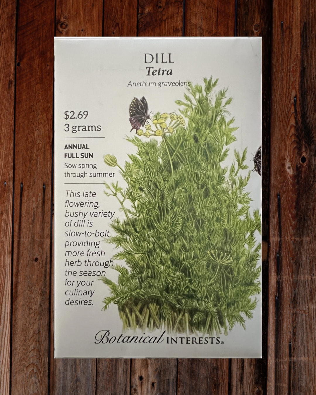 Dill Tetra Seeds - Demeter Earth