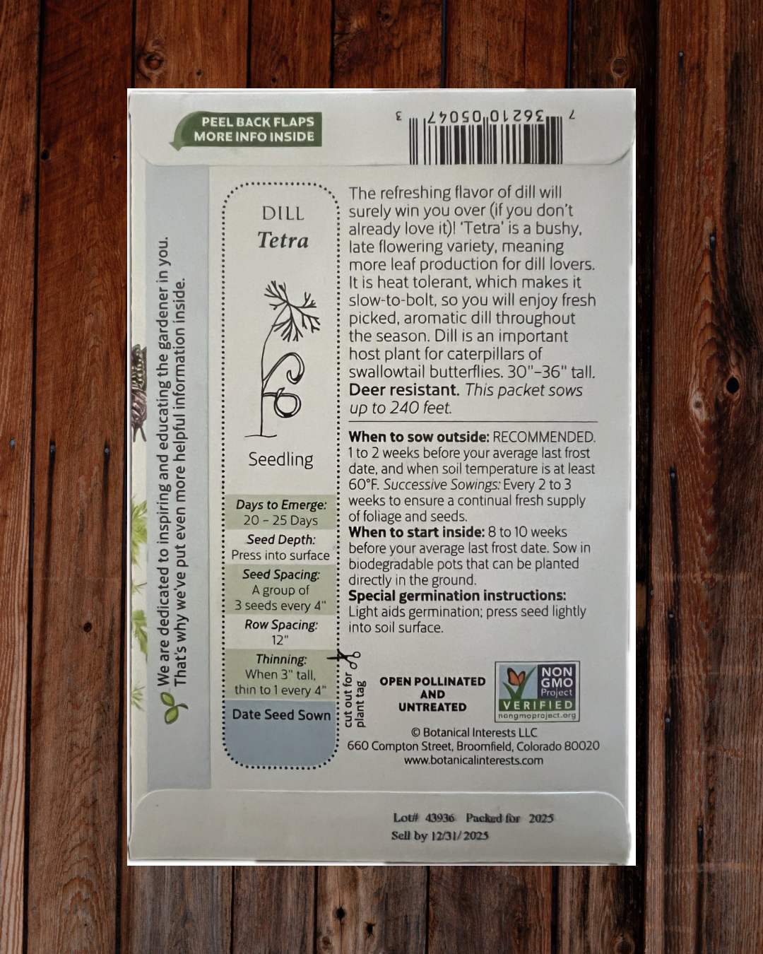 Dill Tetra Seeds - Demeter Earth