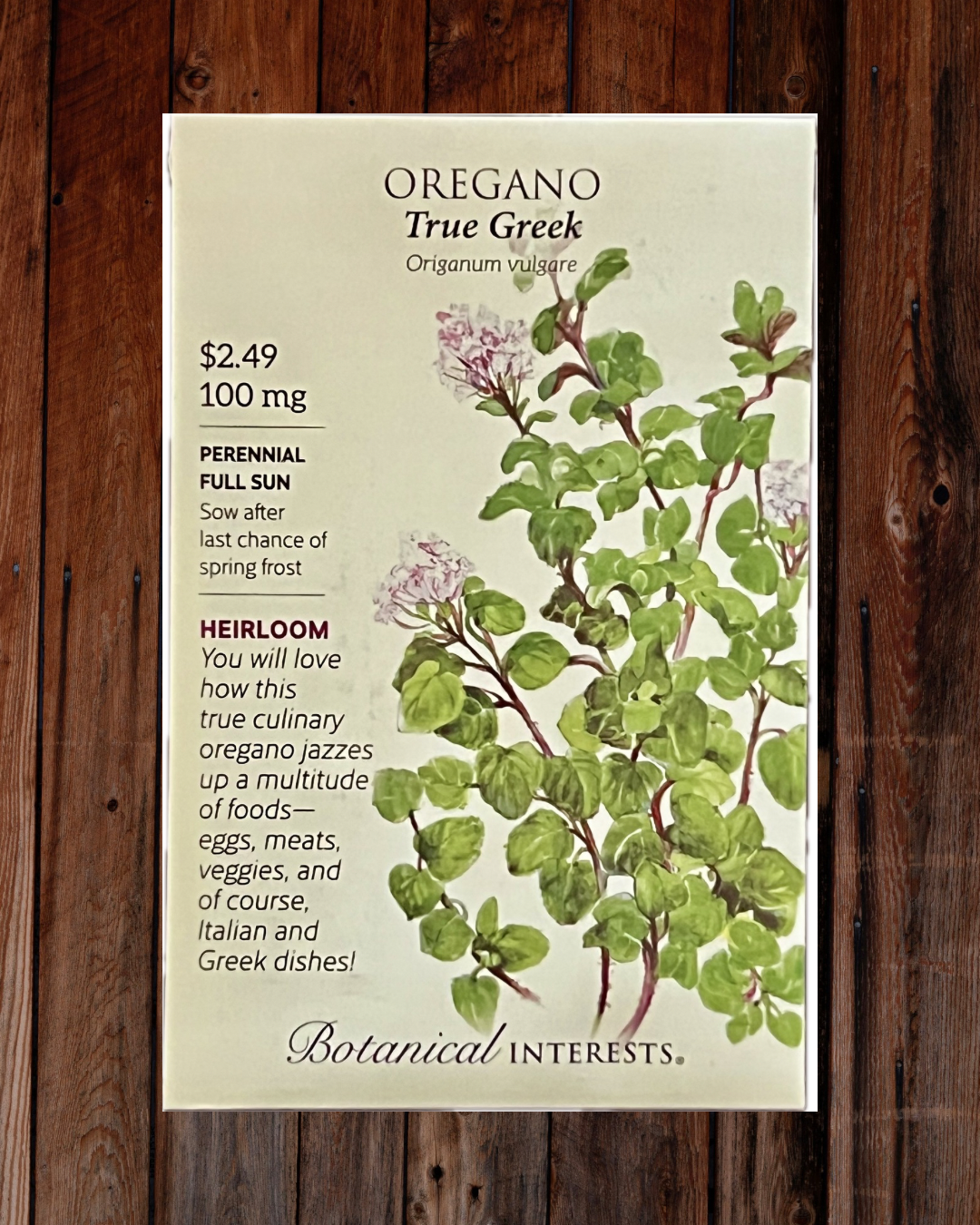 Oregano True Greek Seeds - Demeter Earth