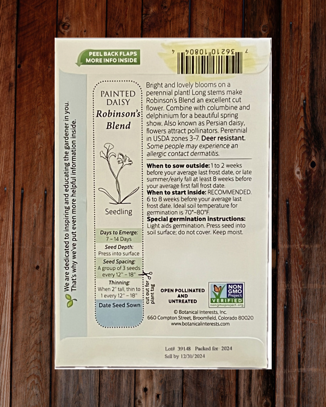 Painted Daisy Seeds - Demeter Earth