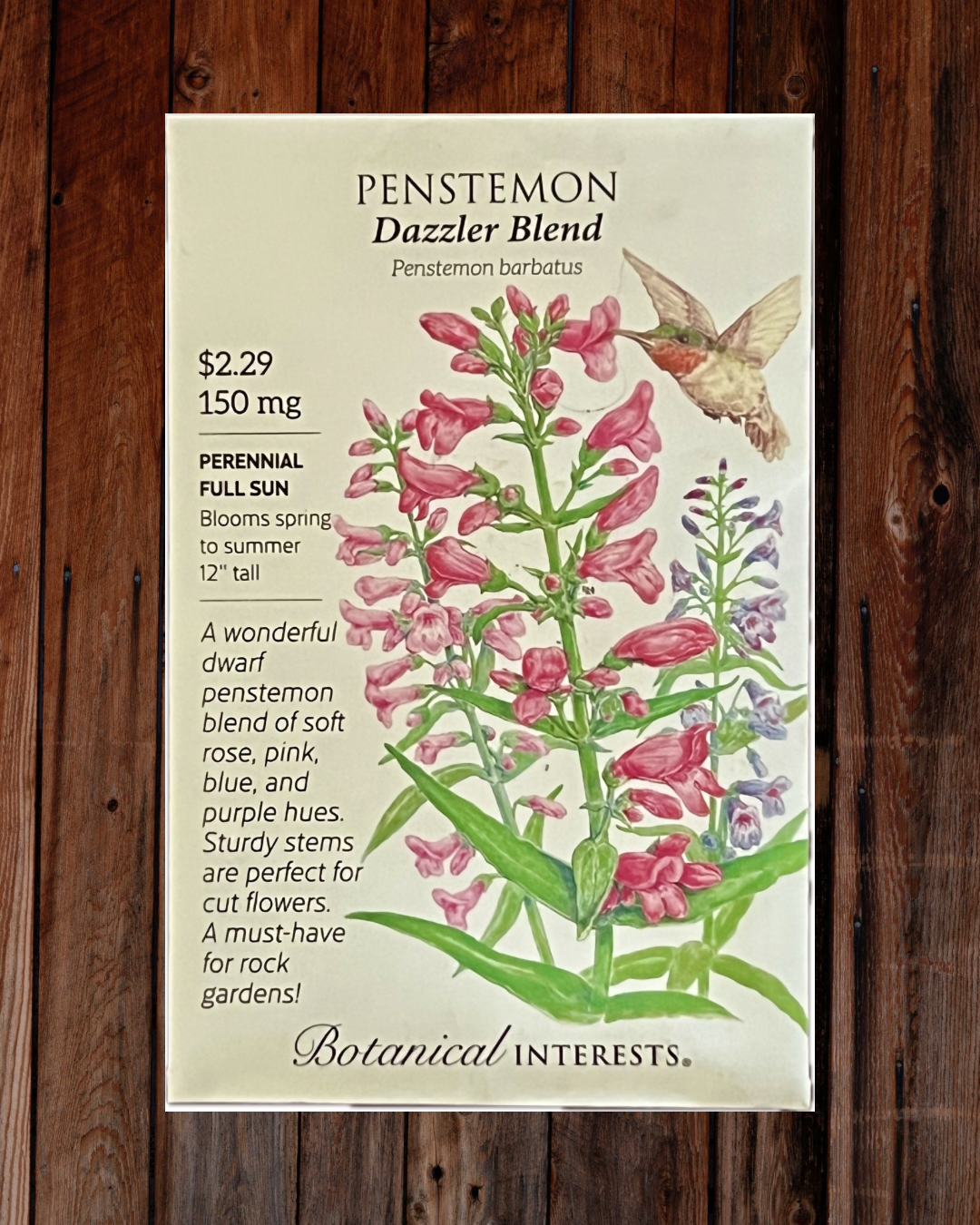 Penstemon Seeds - Demeter Earth