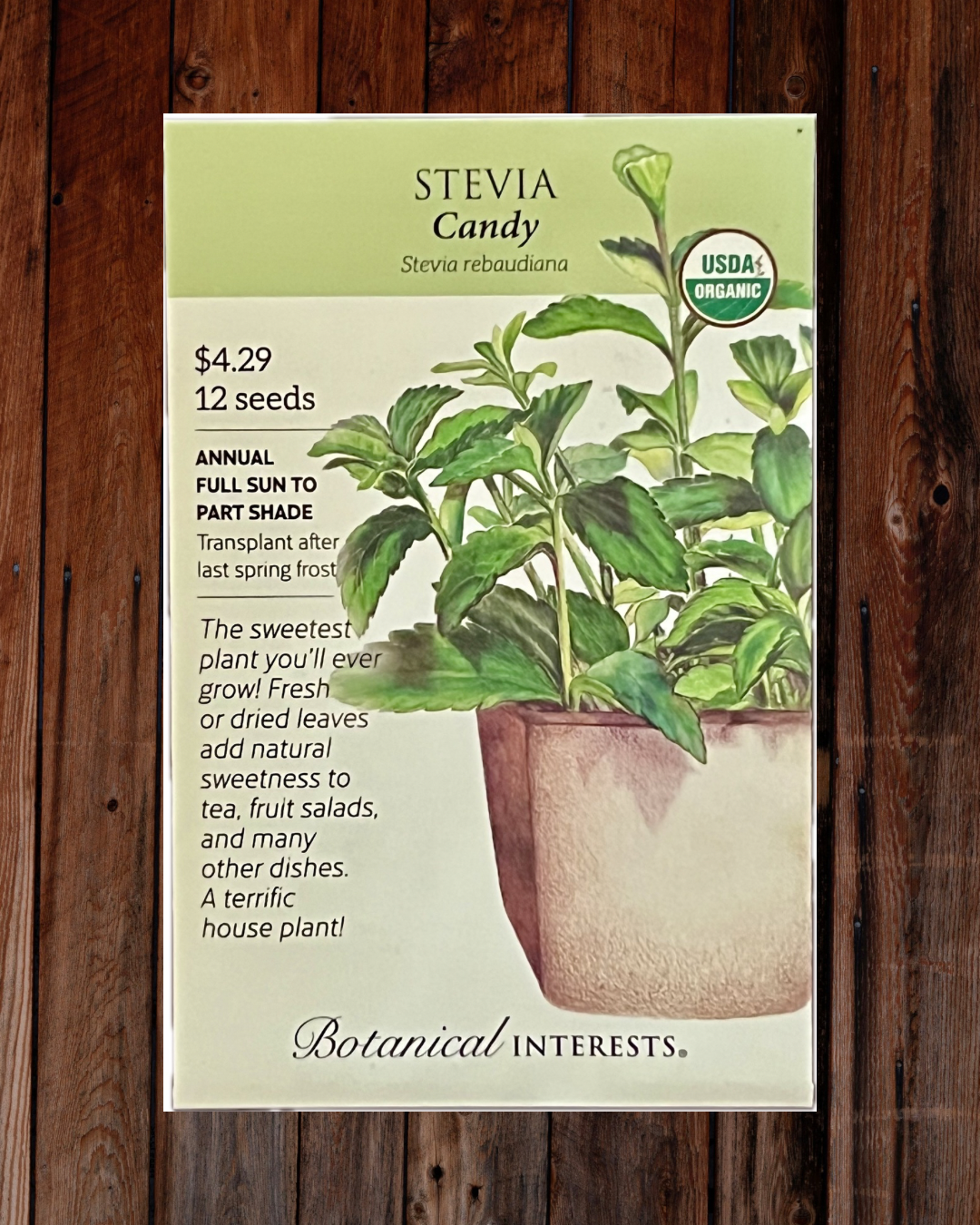 Stevia Candy Seeds - Demeter Earth
