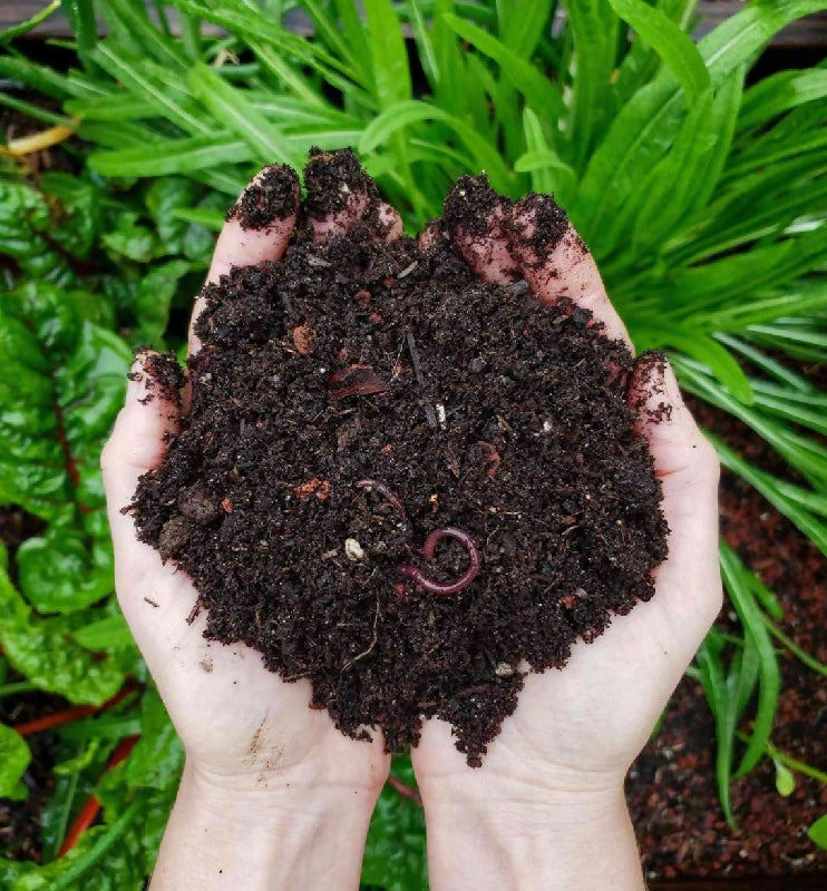 compost