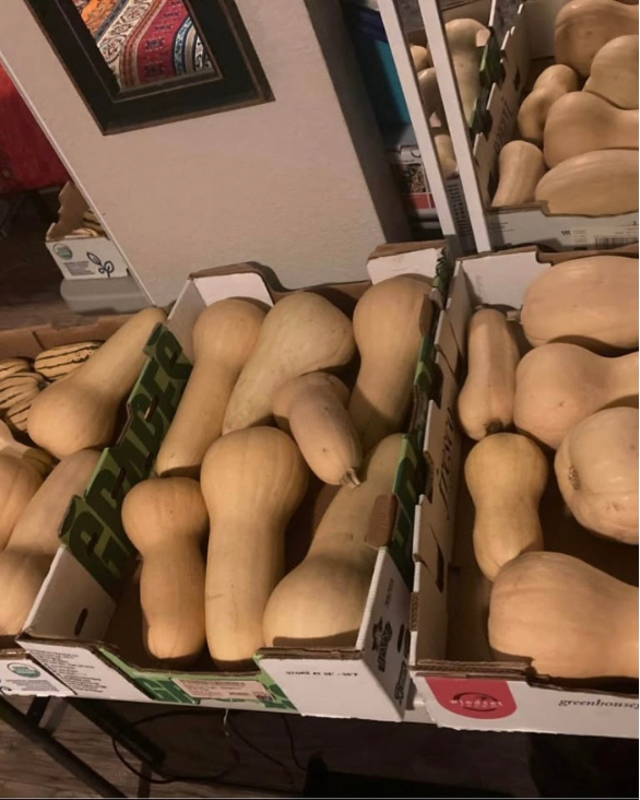 Winter Squash, Butternut and Spaghetti