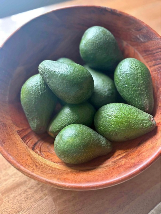 Organic Backyard Grown Fuerte Avocados - Demeter Earth