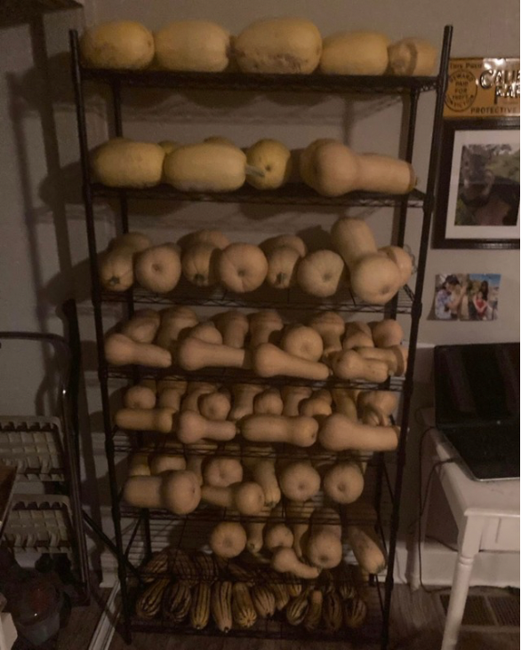 Winter Squash, Butternut and Spaghetti